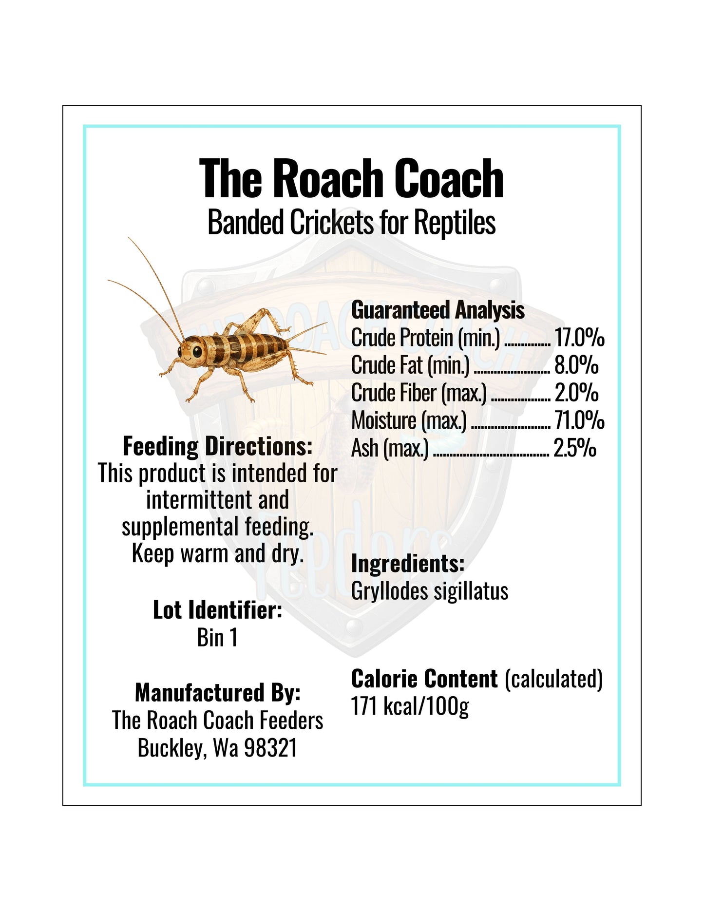 Banded Crickets