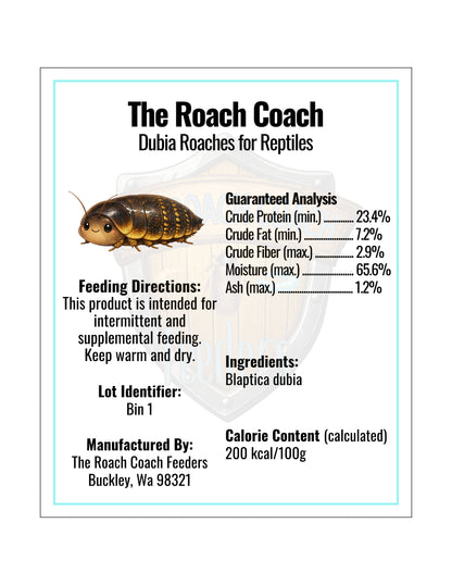 Dubia Roaches